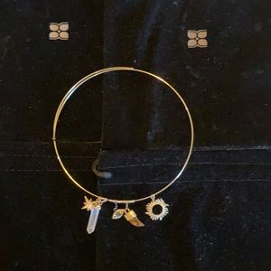 Bcbg Maxazria necklace